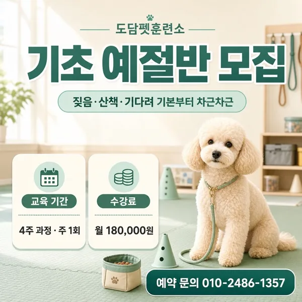 기초예절반광고 AI 프롬프트 미리보기