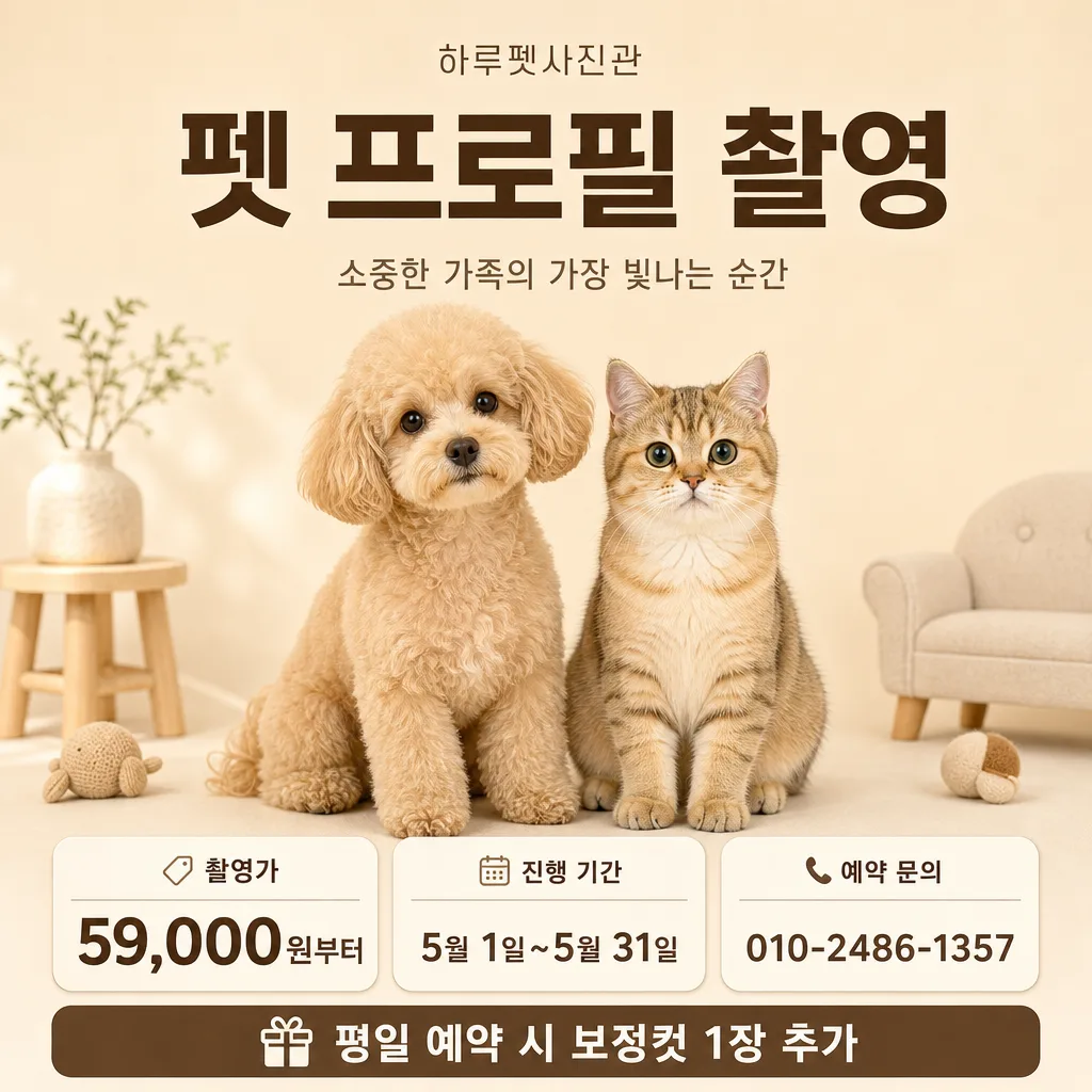 펫프로필홍보 提示詞預覽