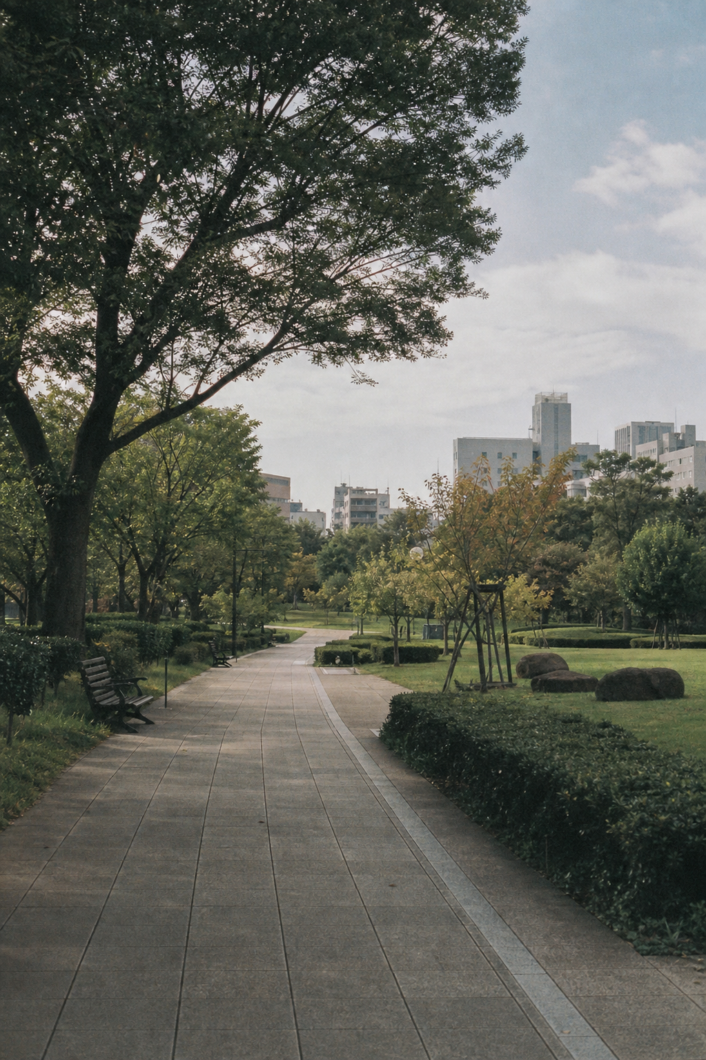 도심 공원의 빈티지 필름 풍경 사진 미리보기