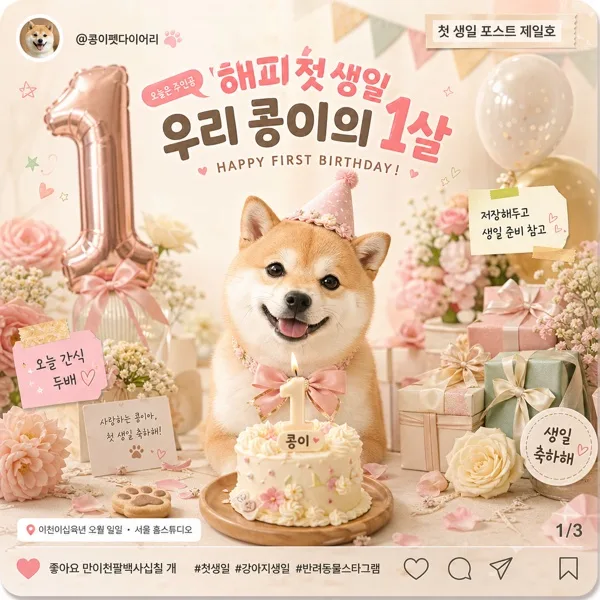 반려동물 SNS 콘텐츠 세트 AI 프롬프트 미리보기