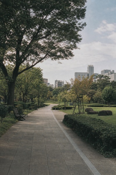 도심 공원의 빈티지 필름 풍경 사진 미리보기