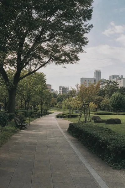 도심 공원의 빈티지 필름 풍경 사진 AI 프롬프트 미리보기