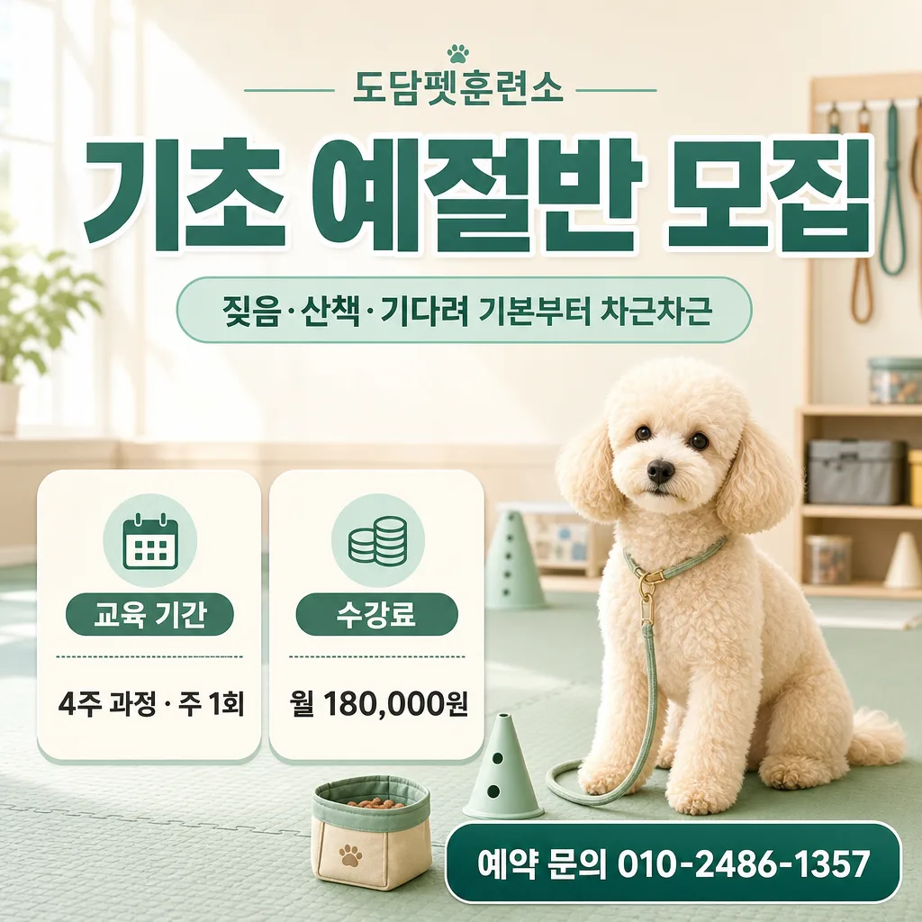 기초예절반광고 提示詞預覽