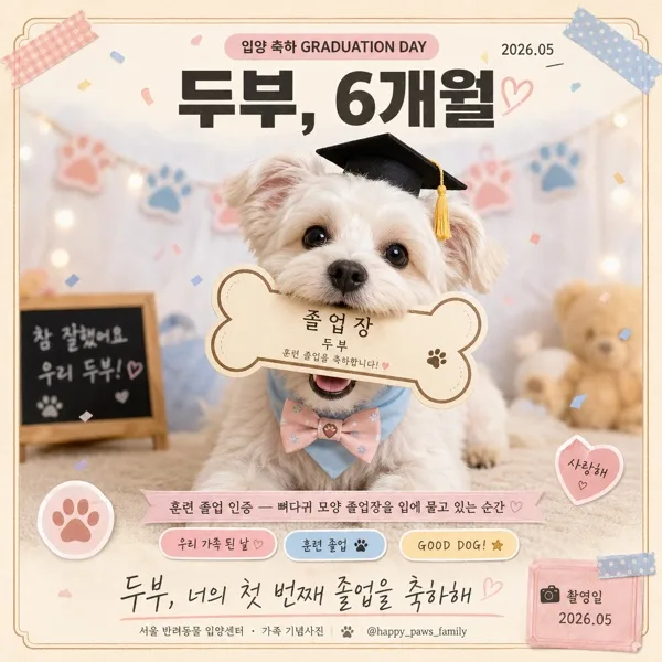 펫 입양·강아지 졸업식 AI 프롬프트 미리보기